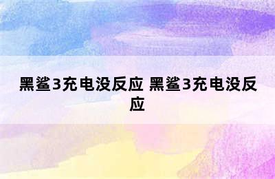 黑鲨3充电没反应 黑鲨3充电没反应